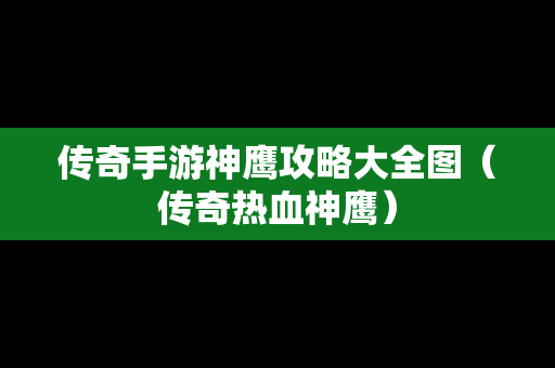 传奇手游神鹰攻略大全图（传奇热血神鹰）