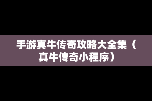 手游真牛传奇攻略大全集（真牛传奇小程序）